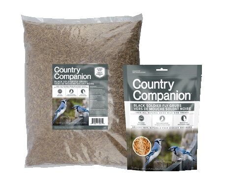 Country Companion Black Soldier Fly Grubs Wild Bird Treats, 5 lb.