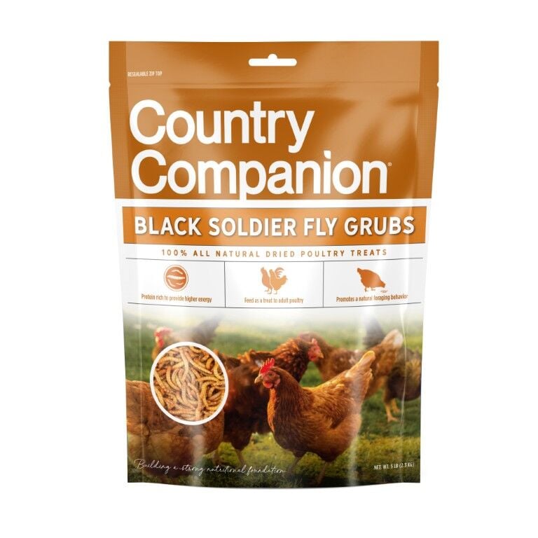 Country Companion Black Soldier Fly Grubs, 5-Lb