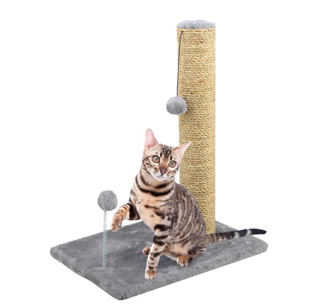 Main St. Pet 20-In Cat Scratching Post