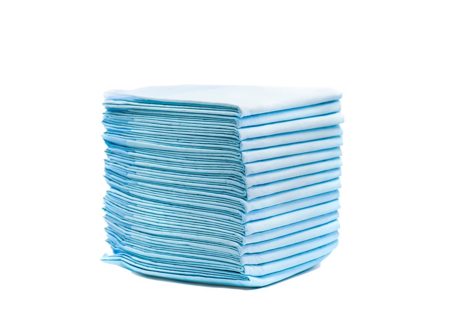 Main St. Pet 22-In x 22-In Pet Training Pads, 50-Pk