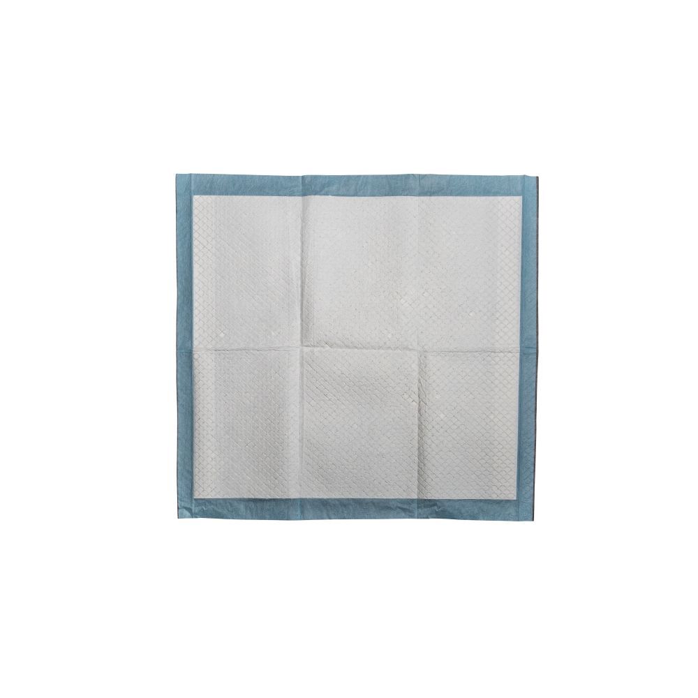 Main St. Pet 22-In x 22-In Pet Training Pads, 50-Pk