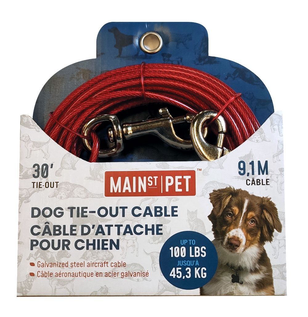 Main St. Pet 30-Ft Dog Tie-Out Cable