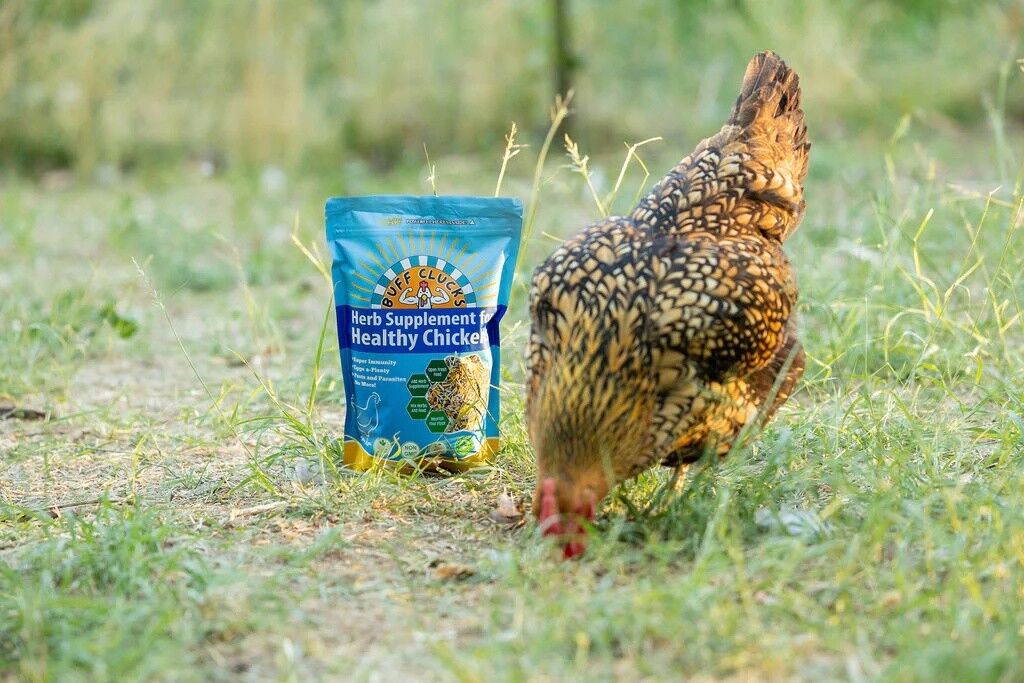 Buff Clucks Herb Supplement For Backyard Chickens, 12-Oz