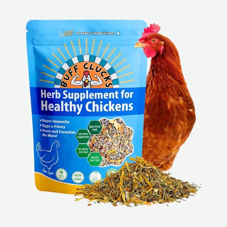 Buff Clucks Herb Supplement For Backyard Chickens, 12-Oz