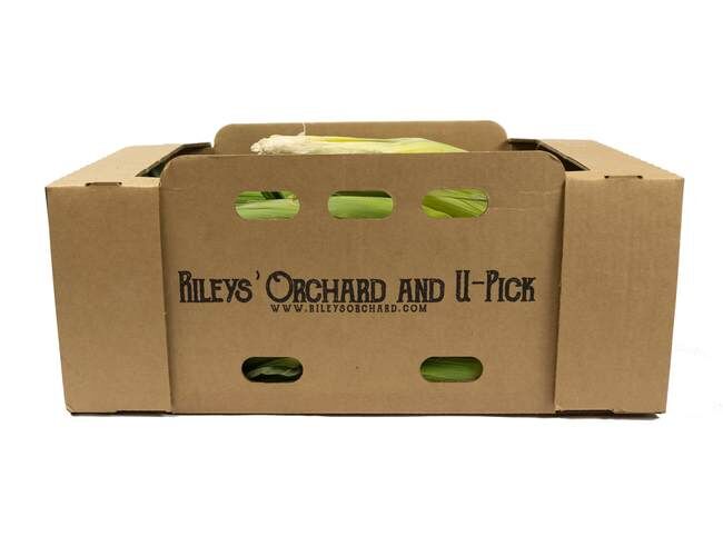 Rileys' Orchard Montauk Bi-Color Sweet Corn, 4-Dozen Ears per Box
