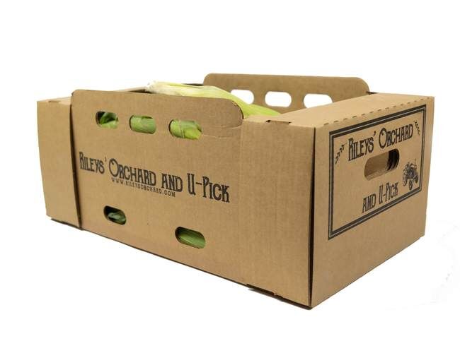 Rileys' Orchard Montauk Bi-Color Sweet Corn, 4-Dozen Ears per Box