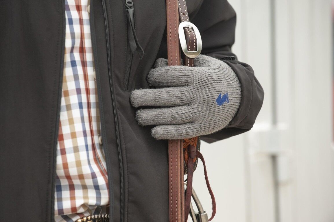 Classic Equine Winter Barn Gloves 