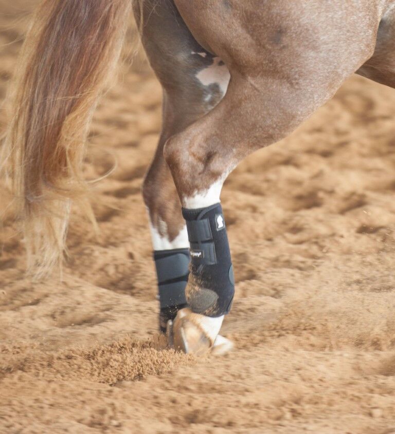 Classic Equine Medium Legacy2 Support Hind Boots