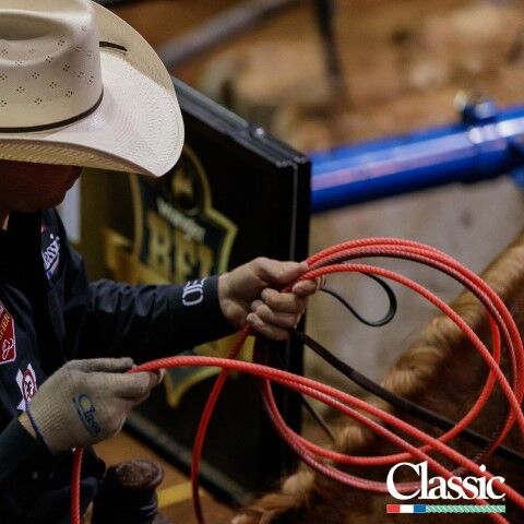 Classic rope Heat Team Rope, 30-Ft