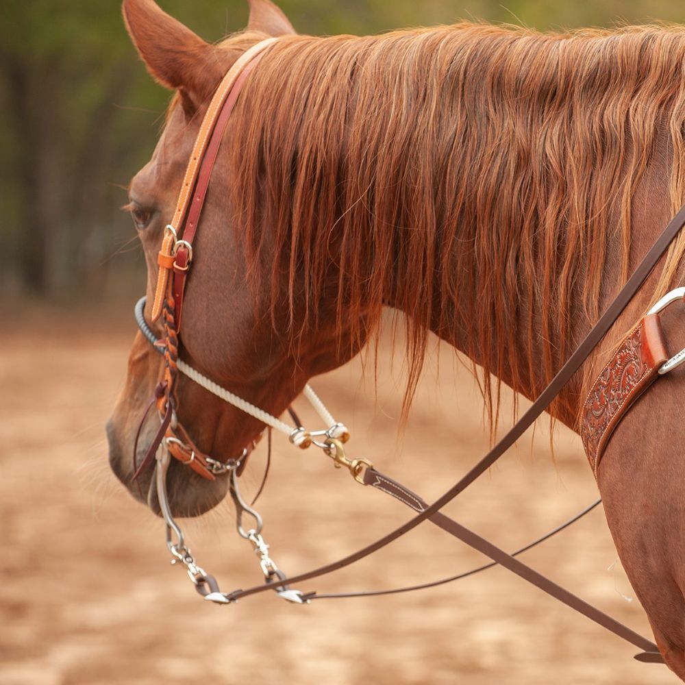 Martin Saddlery BioThane Roping Rein 5/8-In Thick Buckle Snap Ends