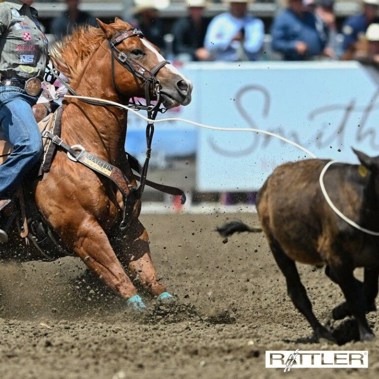 Rattler Striker 9.5 Right Handed Calf Rope, 28-Ft