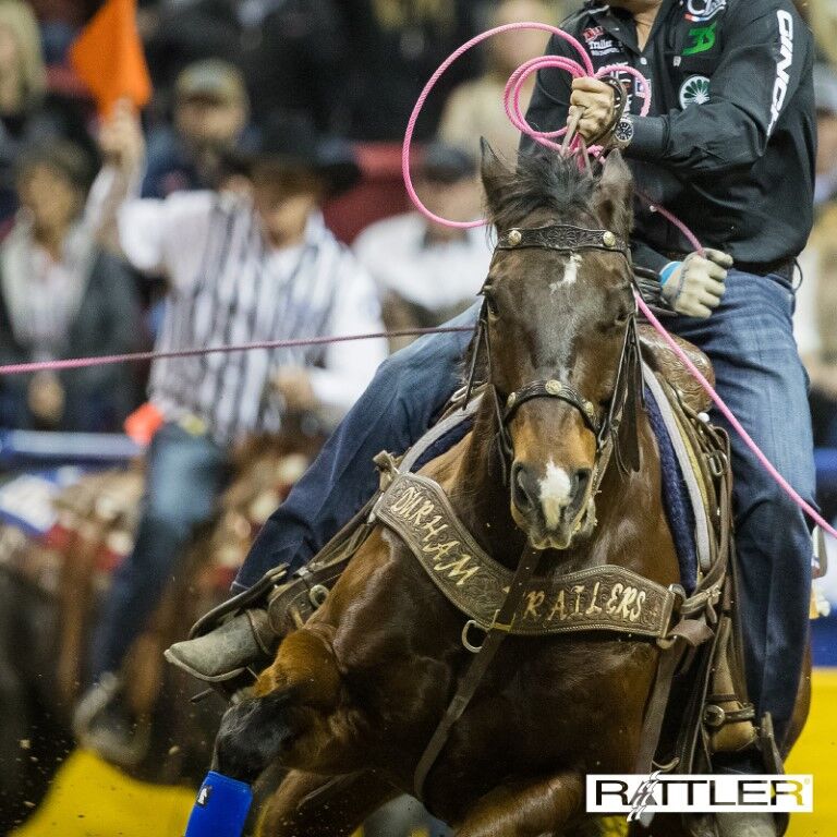 Rattler Triton4 Team Soft Head Rope, 30-Ft