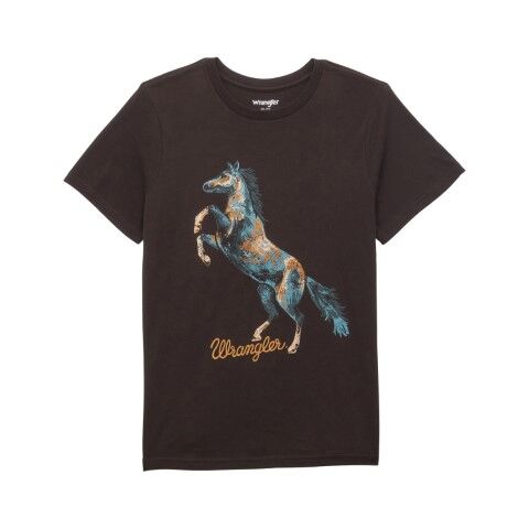 Wrangler Women's Graphic Regular Fit Long Sleeve T-Shirt