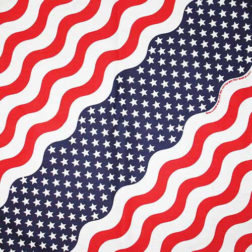 Carolina Creative 22 in Bandana