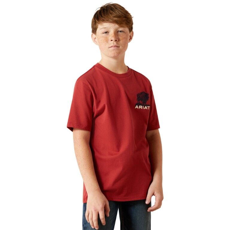 Ariat Boy's Ariat Buffalo Flag T-Shirt