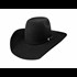 Resistol Felt That Pay Cowboy Hat in Black