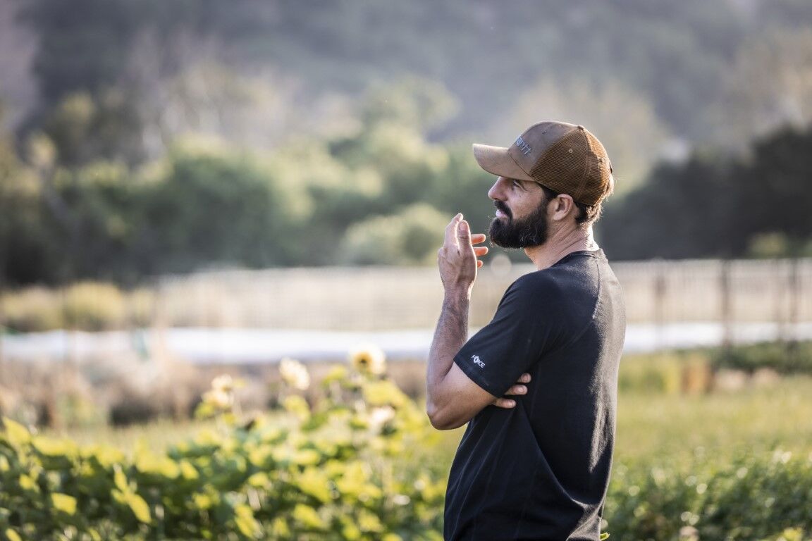 Carhartt Men's Canvas Mesh Back Logo Graphic Cap in Carhart Brown