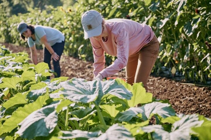 Carhartt Women's Loose Fit Heavyweight Long Sleeve Logo Sleeve Graphic T-Shirt