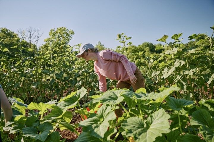 Carhartt Women's Loose Fit Heavyweight Long Sleeve Logo Sleeve Graphic T-Shirt