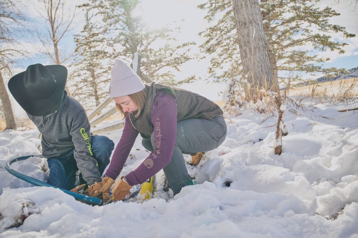 Carhartt Women's Loose Fit Heavyweight Long Sleeve Logo Sleeve Graphic T-Shirt