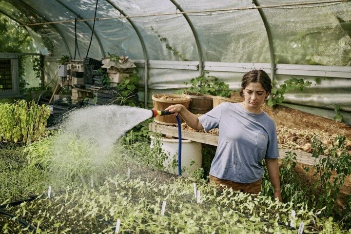 Carhartt Women's TENCEL Fiber Series Loose Fit Short Sleeve Crewneck T-Shirt