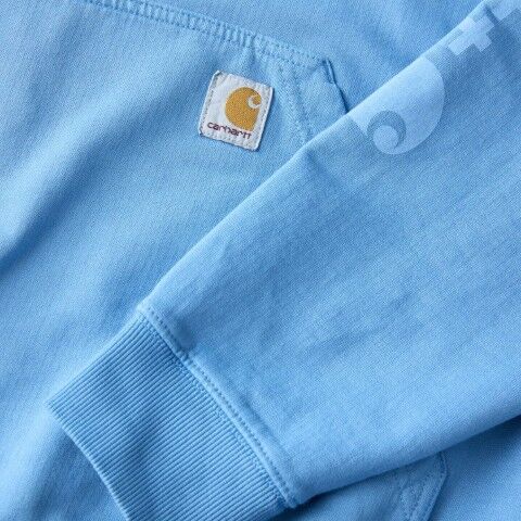 Carhartt Men's Re-Engineered Relaxed Fit Midweight Garment Dyed French Terry Graphic Sweatshirt