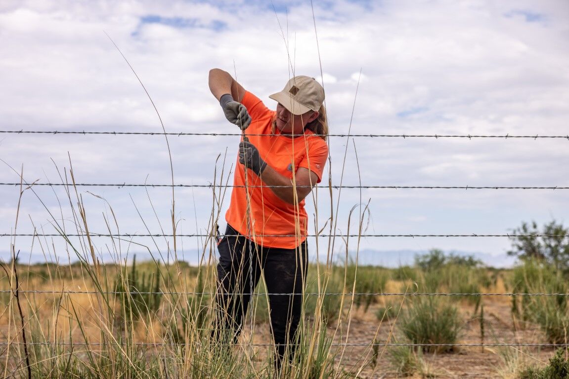 Carhartt Women's Carhartt Force Relaxed Fit Midweight Pocket T-Shirt in Coral Glow