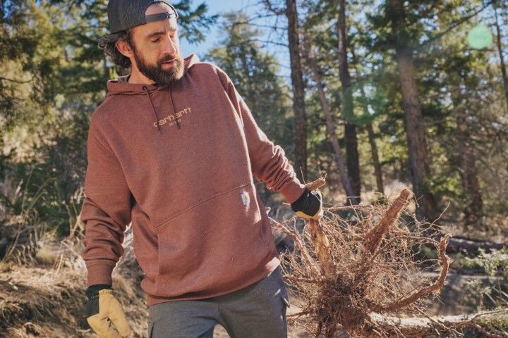 Carhartt Men's Force Relaxed Fit Lightweight Logo Graphic Sweatshirt