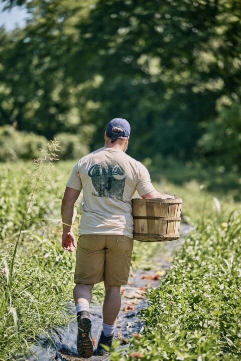 Carhartt Men's Relaxed Fit Lightweight Short Sleeve Pocket Dog Graphic T-Shirt