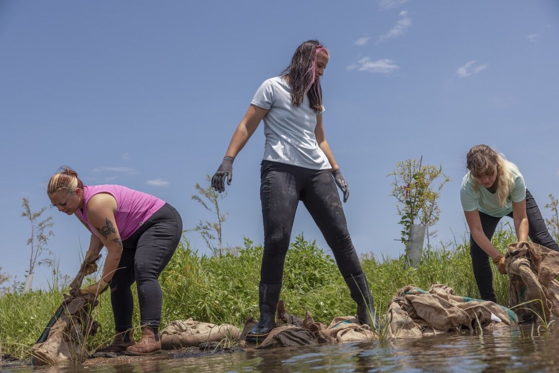 Carhartt Women's Force Sun Defender Relaxed Fit Short Sleeve Shirt