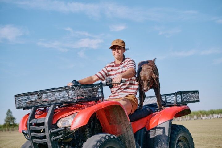 Carhartt Women's TENCEL Fiber Series Loose Fit Short Sleeve Striped T-Shirt in Barnwood Stripe