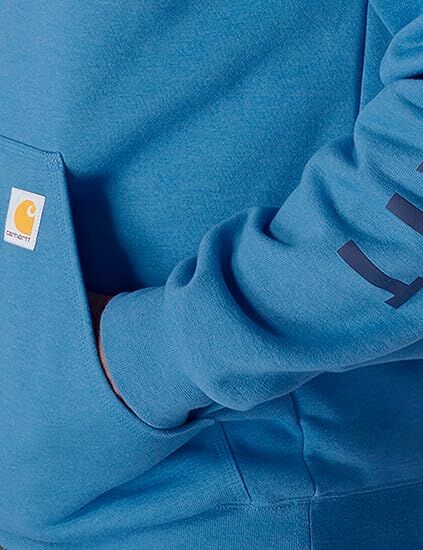 Carhartt Men's Rain Defender Loose Fit midweight Logo Graphic Sweatshirt