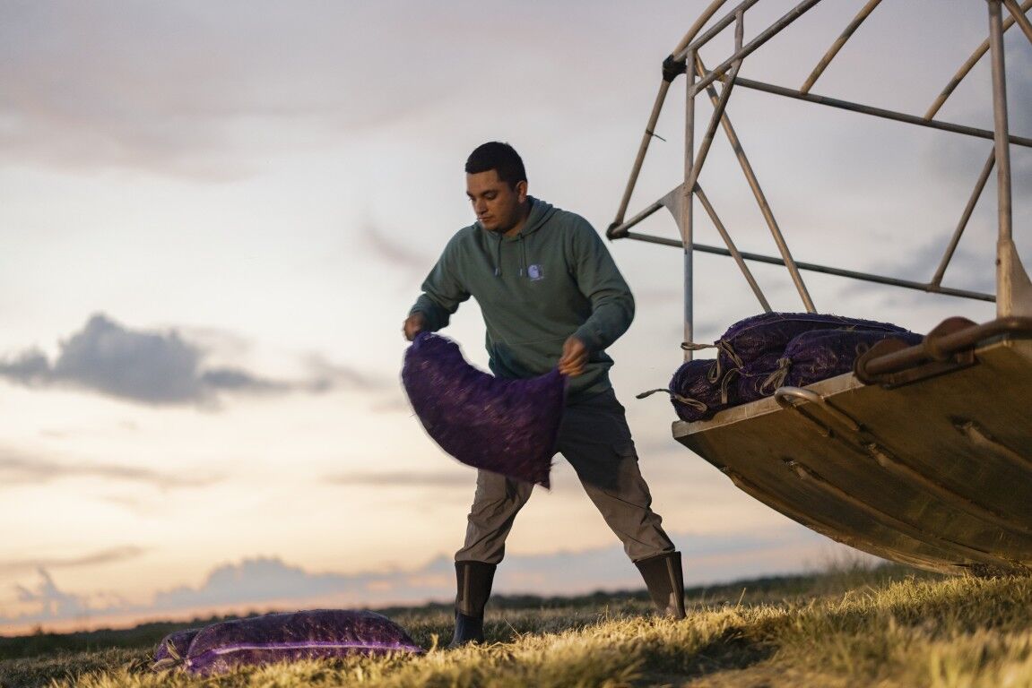 Carhartt Men's Force Relaxed Fit Lightweight Logo Graphic Sweatshirt