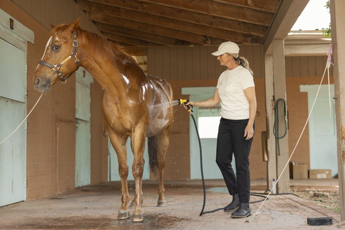Carhartt Women's Irvine Relaxed Fit T-Shirt