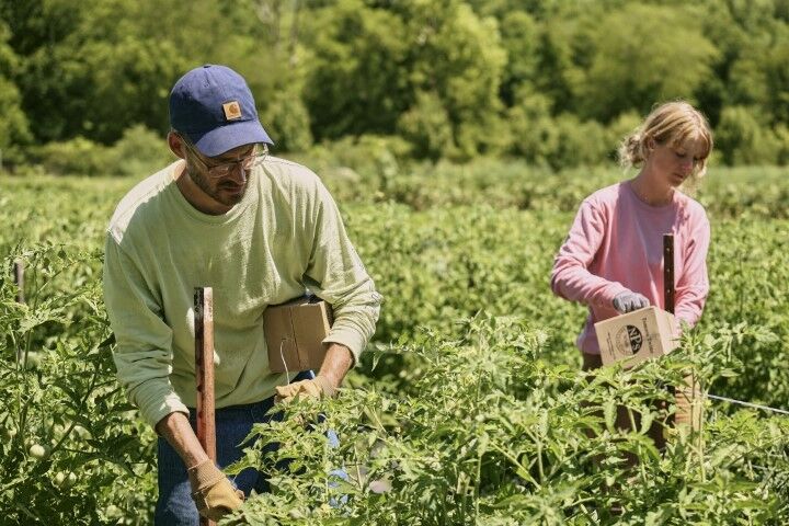 Carhartt Men's Loose Fit Heavyweight Long Sleeve Logo Sleeve Graphic T-Shirt