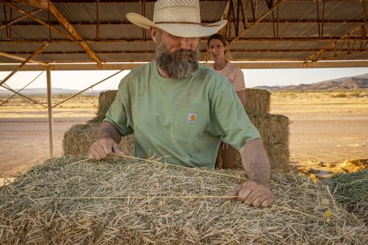 Carhartt Men's Loose Fit Heavyweight Short Sleeve Pocket T-Shirt