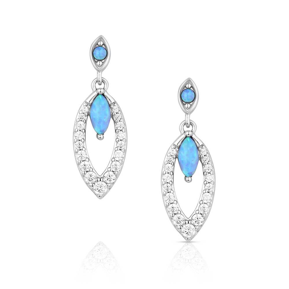 Montana Silversmiths Women's Dancing In The Rain Earrings