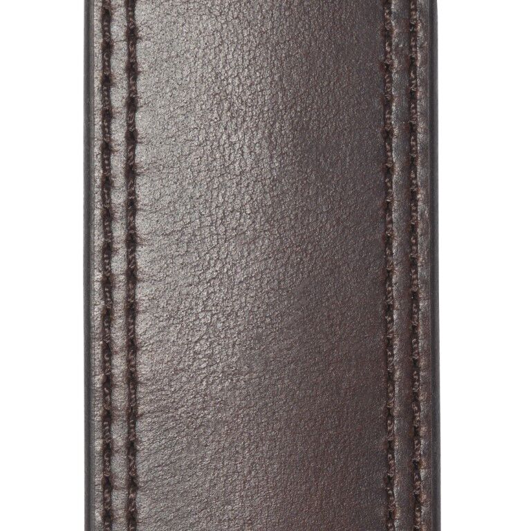 Carhartt Men's Hamilton Belt in Dark Brown