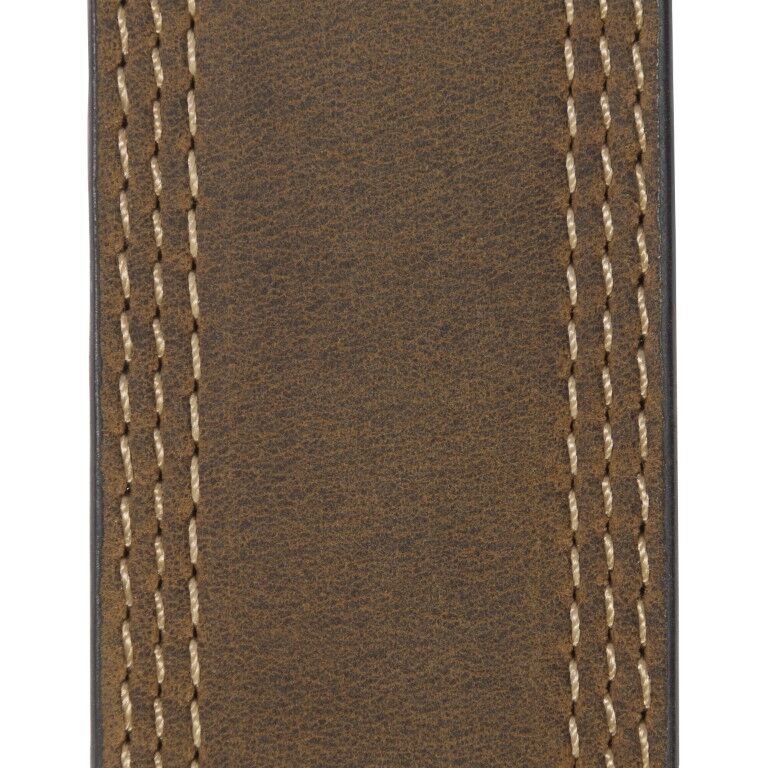 Carhartt Detroit Belt in Brown