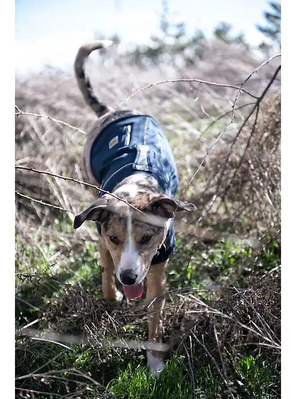 Carhartt Quick Duck Classic Dark Fleece-Lined Dog Jac, Size-SM