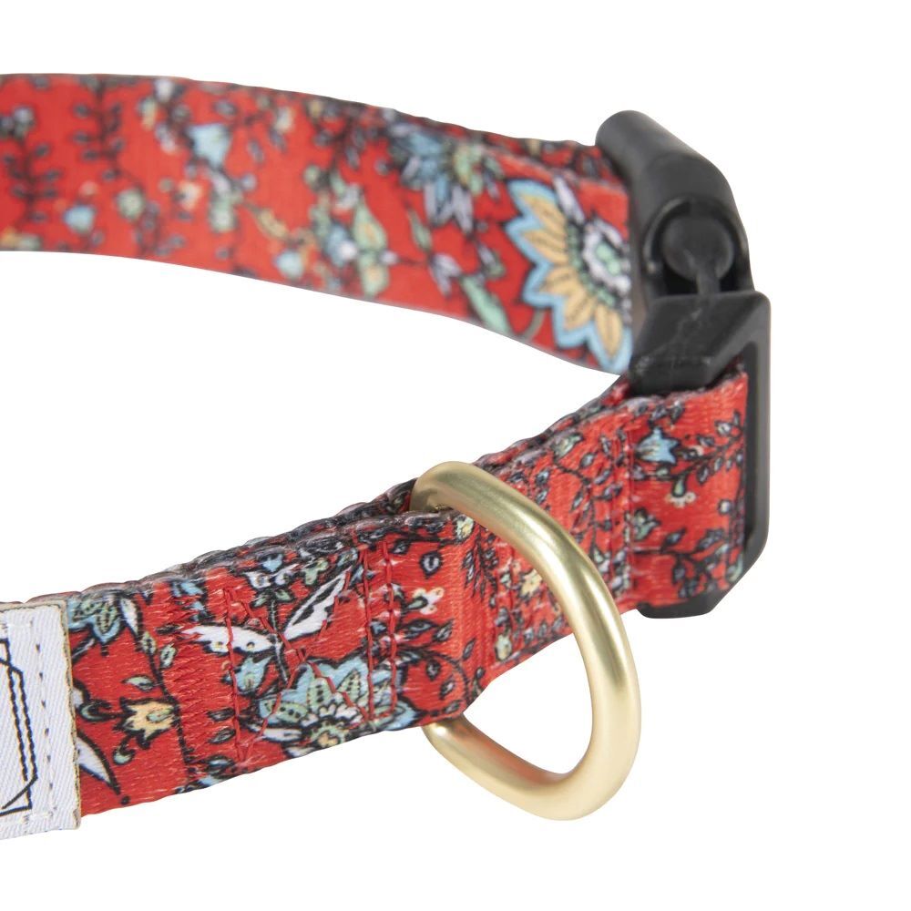 Hooey Nomad Western Floral Medium Dog Collar