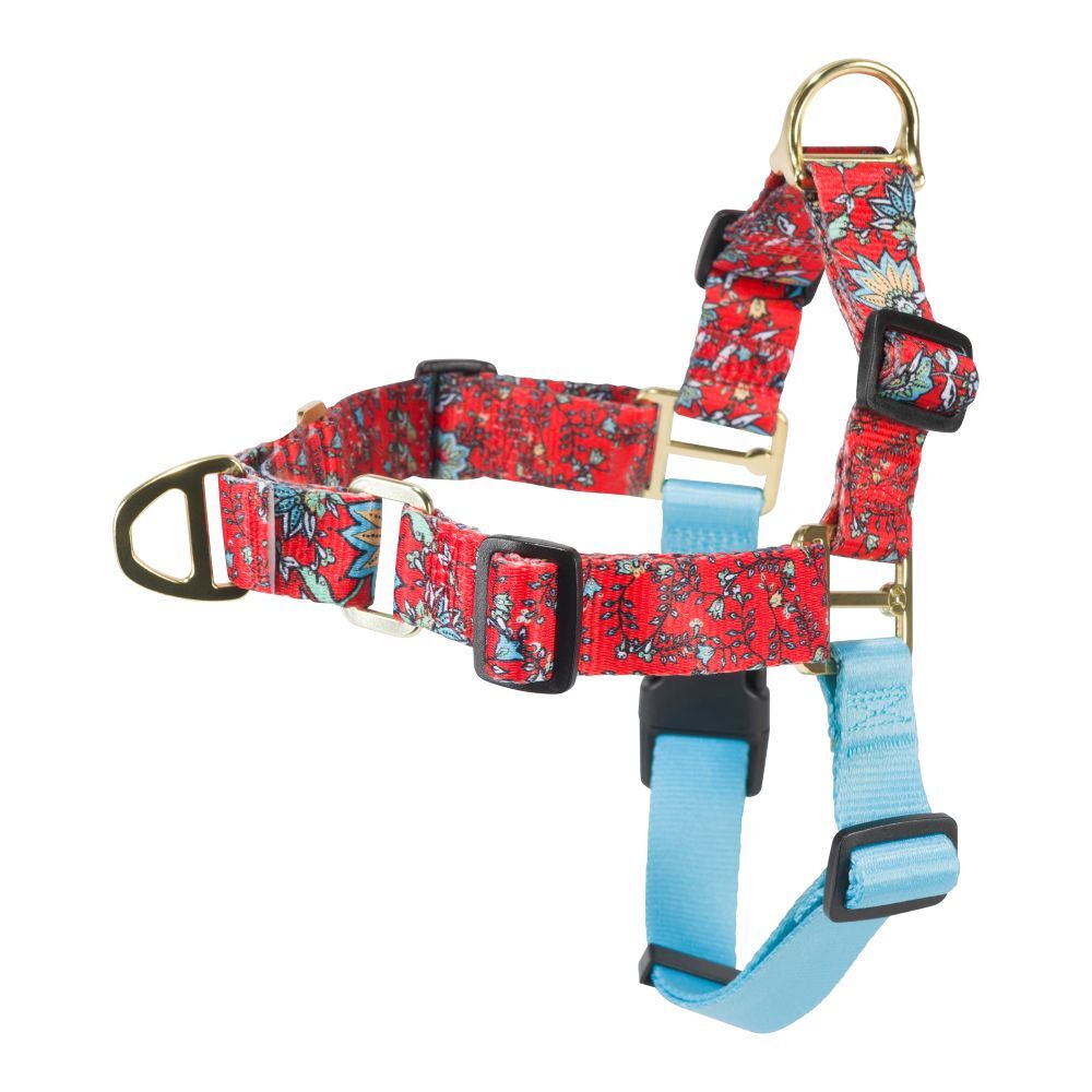 Hooey Large Western Floral Nomad Walking Harness
