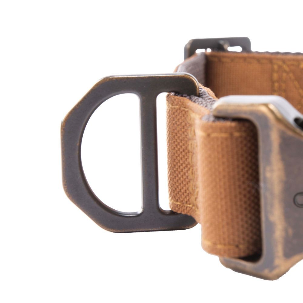Carhartt Medium Carhartt Brown Field Dog Collar