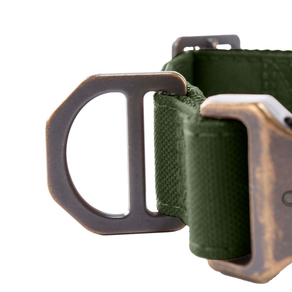 Carhartt Medium Oak Leaf Field Dog Collar