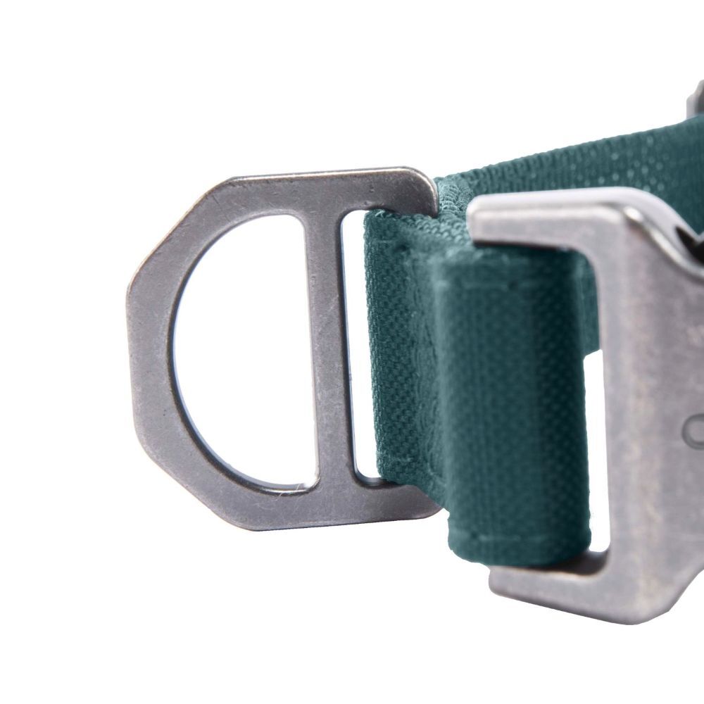 Carhartt Medium Greenstone Field Dog Collar