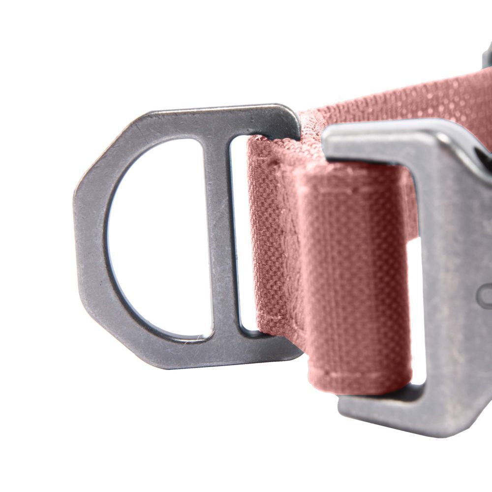 Carhartt Medium Rose Tint Field Dog Collar