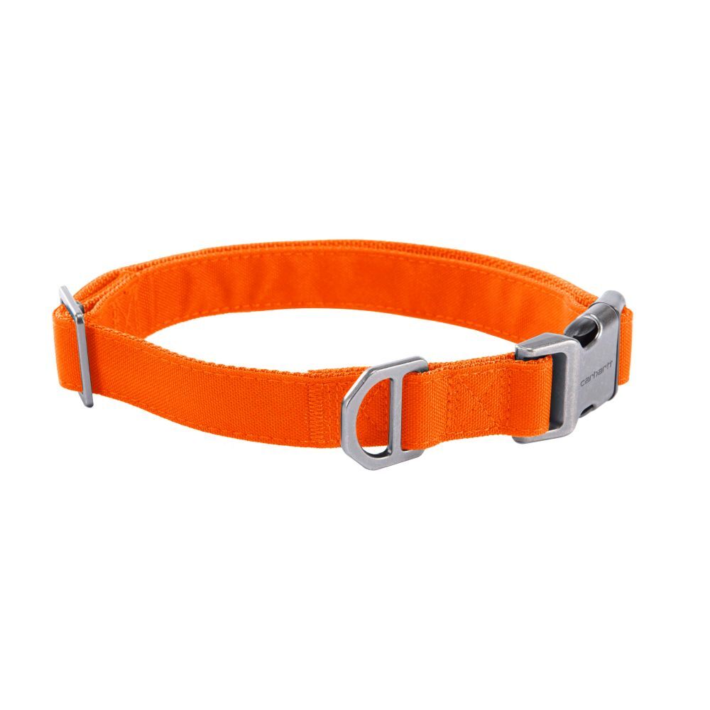 Carhartt Large Hunter Orange Field Dog Collar