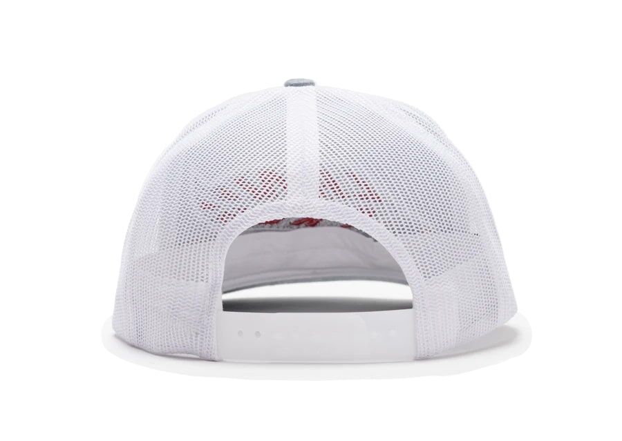 Lane Frost Men's Eagle Hat in Grey