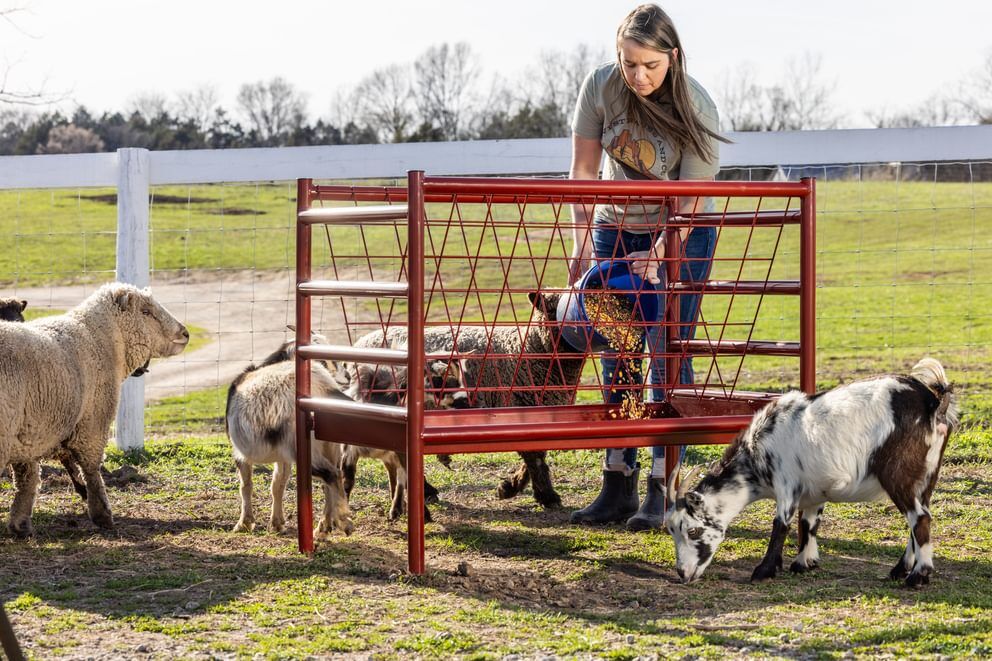 Behlen Country Red ArmorGuard All-In-One Feed Station, 48-In x 40-In