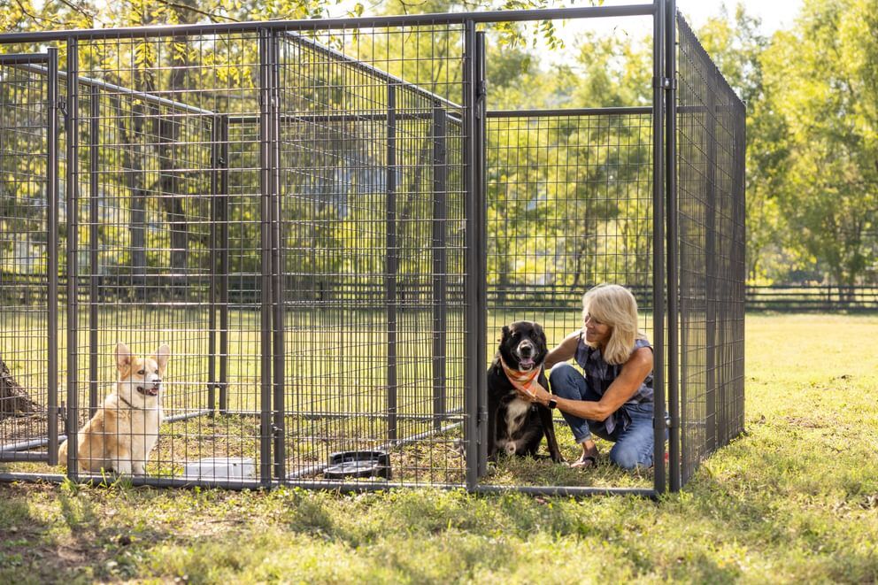 Behlen Country Gray Ruff Guard Kennel 2-Door Panel, 10-Ft x 6-Ft